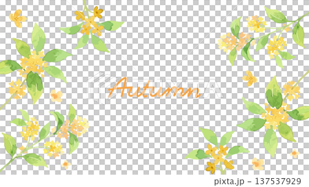 桂花水彩風格插圖 137537929