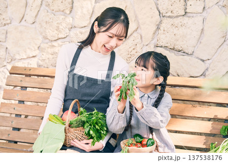 野菜を持ってベンチに座っている親子 137538176