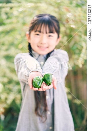 庭で野菜を持っている女の子 137538217