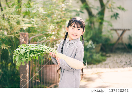 庭で大根を持っている女の子 庭で大根を持っている女の子 137538241