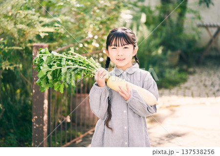 庭で大根を持っている女の子 137538256