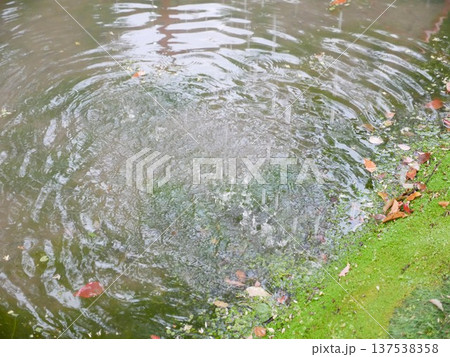 水 水分 ウォーター 137538358