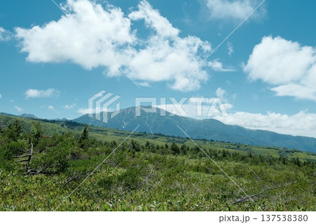 夏の薬師岳 大日平に広がる緑と雄大な山の風景 夏の薬師岳 大日平に広がる緑と雄大な山の風景 137538380