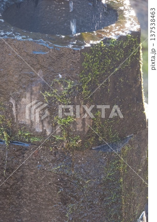 苔むした石の水鉢と滴る水 苔むした石の水鉢と滴る水 137538463