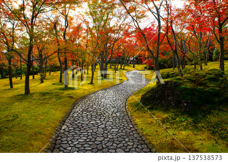 箱根美術館の苔庭ともみじの紅葉 箱根美術館の苔庭ともみじの紅葉 137538573