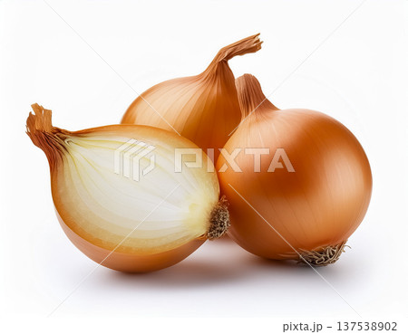 白背景の玉ねぎ｜カット断面入りの新鮮な野菜素材 137538902