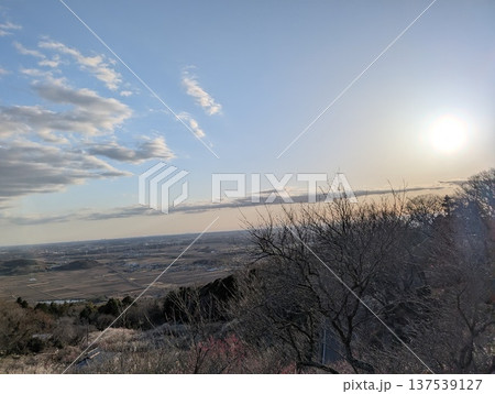 筑波山で咲き誇る梅林 筑波山で咲き誇る梅林 137539127