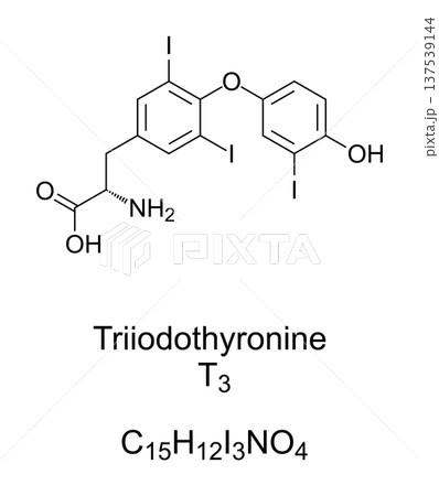 Triiodothyronine, T3, thyroid hormone, chemical formula. Affects almost every physiological process in the body, including growth and development, metabolism, body temperature, and heart rate. Vector 137539144