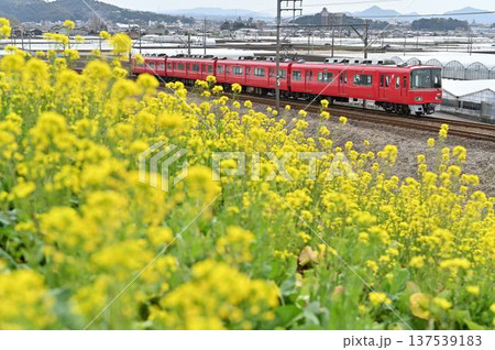 菜の花咲く名鉄各務原線を行く3500系 3502編成 137539183