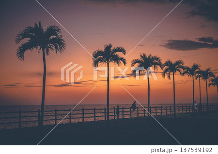 夕暮れ時 137539192