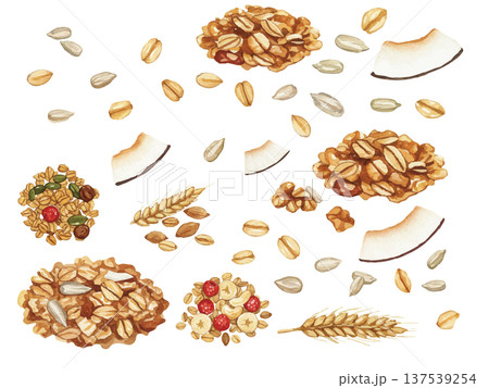水彩風のグラノーラのイラスト 137539254