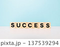 SUCCESSブロック文字 137539294