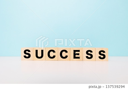 SUCCESSブロック文字 SUCCESSブロック文字 137539294
