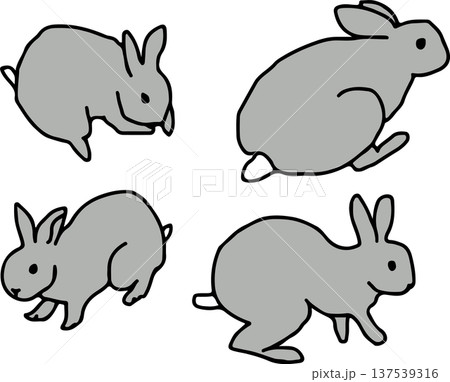 兎の動きのセットイラスト、線あり 137539316
