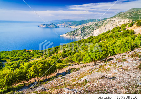 Kefalonia, Greece. Beautiful beaches of the Cephalonia island, Greek Islands. 137539510