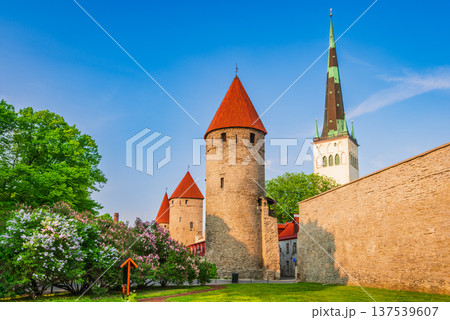 Tallinn, Estonia. Old Town one of the best-preserved systems of medieval fortifications in Europe 137539607