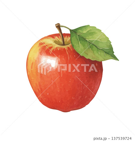 水彩風のりんごのイラスト 137539724