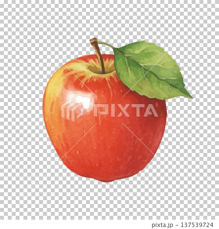 水彩風のりんごのイラスト 137539724