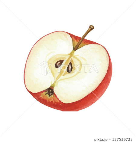 水彩風のりんごのイラスト 137539725