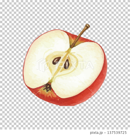 水彩風のりんごのイラスト 137539725