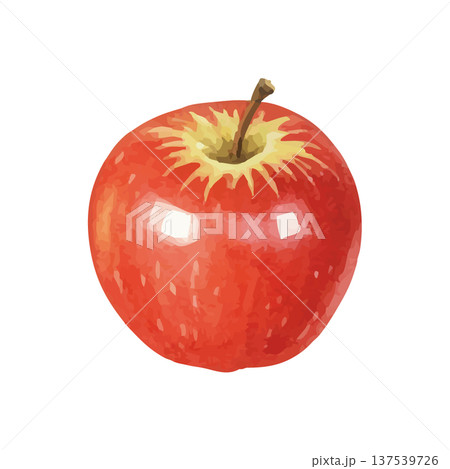 水彩風のりんごのイラスト 137539726