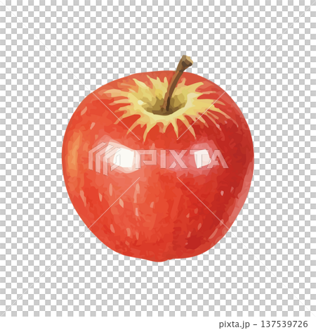 水彩風のりんごのイラスト 137539726