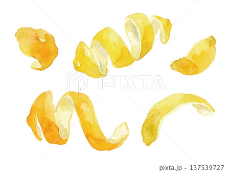 水彩風のレモンピール 137539727