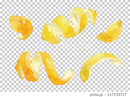 水彩風のレモンピール 137539727