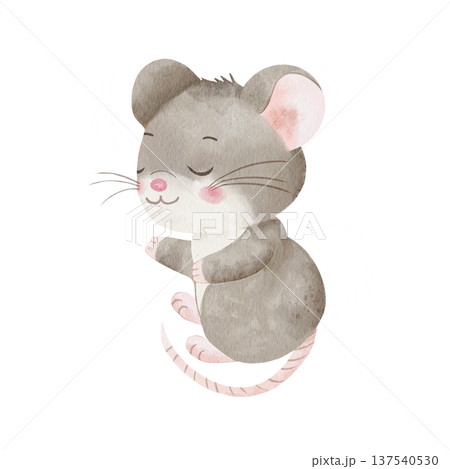 Cute gray mouse with closed eyes. Watercolor illustration of sleeping character, isolated on white background. For children's bedding designs, cozy nursery decor, and charming kids' room prints 137540530