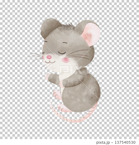 Cute gray mouse with closed eyes. Watercolor illustration of sleeping character, isolated on white background. For children's bedding designs, cozy nursery decor, and charming kids' room prints 137540530