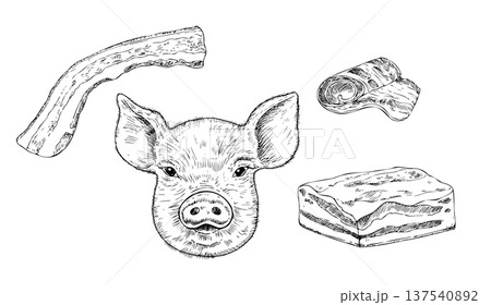 Vector set with pig head, Bacon Strip, lard. Graphic ink Pork belly meat illustration, isolated on background. Hand drawn line sketch. For designers, prints, logo, icon, menu, postcards, holiday 137540892