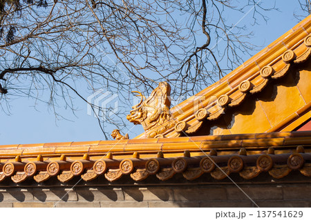 Golden chinese temple roof detail under blue sky 137541629