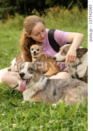 Professional dog walker young woman with pack of dogs is sitting on grass and enjoying walk animals. Professional dog walker young woman with pack of dogs is sitting on grass and enjoying walk animals. 137542065
