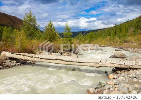 View to Aktru river flowing from glacier. Alpine camps and valley in blue sky, Autumn sunny day. Landscape Mountains in Siberia. Chuiskiy Range, Altai Republic, Russia, Asia. 137542426