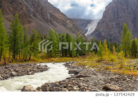 View to Aktru river flowing from glacier. Alpine camps and valley in blue sky, Autumn sunny day. Landscape Mountains in Siberia. Chuiskiy Range, Altai Republic, Russia, Asia. 137542429