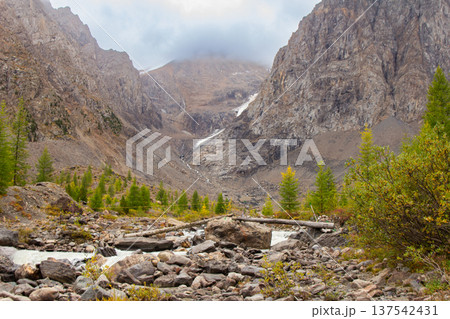 View to Aktru river flowing from glacier. Alpine camps and valley in blue sky, Autumn sunny day. Landscape Mountains in Siberia. Chuiskiy Range, Altai Republic, Russia, Asia. 137542431