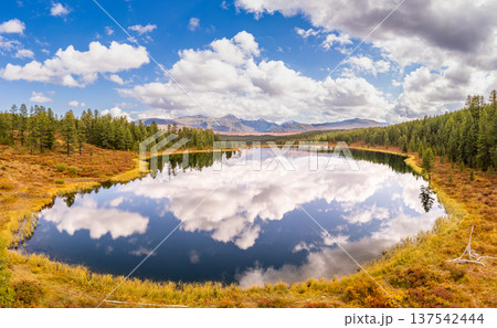 Aerial top view of Kidelyu lake near the Ulagan mountain pass. Beautiful landscape Alps from a drone. Scenic mountain lake surrounded by forest and autumn colors. Altai Republic, Siberia, Russia Aerial top view of Kidelyu lake near the Ulagan mountain pass. Beautiful landscape Alps from a drone. Scenic mountain lake surrounded by forest and autumn colors. Altai Republic, Siberia, Russia 137542444