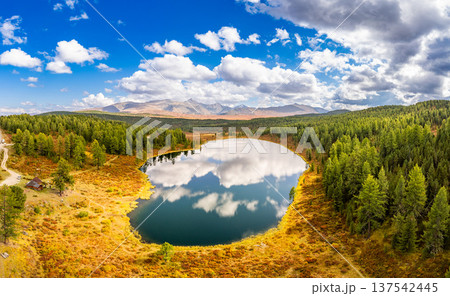 Aerial top view of Kidelyu lake near the Ulagan mountain pass. Beautiful landscape Alps from a drone. Scenic mountain lake surrounded by forest and autumn colors. Altai Republic, Siberia, Russia 137542445