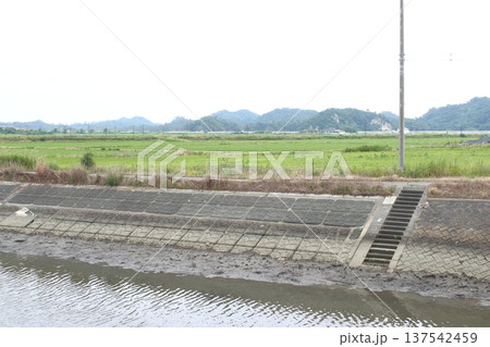 東名運河：不老橋（松島湾方向を望む） 137542459