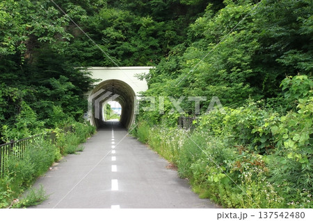 高台移設の仙石線旧線活用した遊歩道：亀岡トンネル（旧野蒜駅側） 137542480