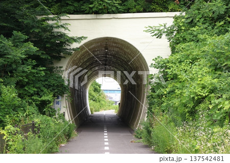 高台移設の仙石線旧線活用した遊歩道:亀岡トンネル(旧野蒜駅側) 高台移設の仙石線旧線活用した遊歩道:亀岡トンネル(旧野蒜駅側) 137542481