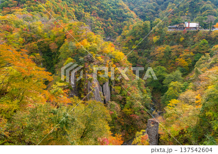 宮城県大崎市 大深沢橋から見下ろす色づき始めた鳴子峡のV字谷と大自然 宮城県大崎市 大深沢橋から見下ろす色づき始めた鳴子峡のV字谷と大自然 137542604