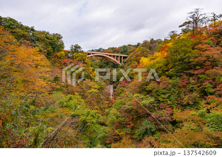 宮城県大崎市 色づき始めた鳴子峡のパノラマ絶景とアーチ橋 137542609
