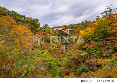 宮城県大崎市 色づき始めた鳴子峡のパノラマ絶景とアーチ橋 宮城県大崎市 色づき始めた鳴子峡のパノラマ絶景とアーチ橋 137542610