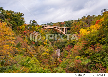 宮城県大崎市 色づき始めた鳴子峡のパノラマ絶景とアーチ橋 宮城県大崎市 色づき始めた鳴子峡のパノラマ絶景とアーチ橋 137542611