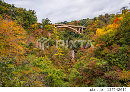 宮城県大崎市 色づき始めた鳴子峡のパノラマ絶景とアーチ橋 宮城県大崎市 色づき始めた鳴子峡のパノラマ絶景とアーチ橋 137542613