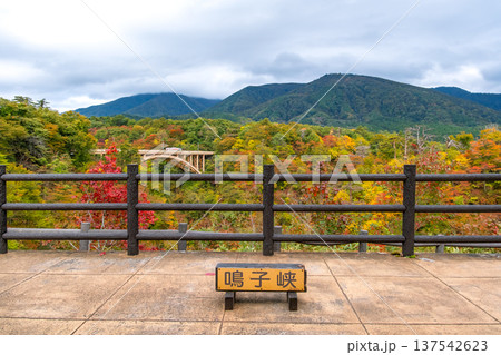 宮城県大崎市 鳴子峡レストハウス展望台の看板と色づき始めた紅葉と大深沢橋 137542623