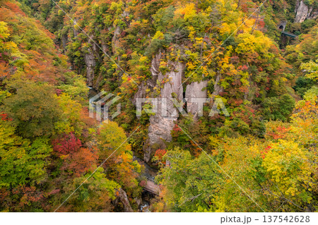 宮城県大崎市 大深沢橋から見下ろす色づき始めた鳴子峡のV字谷と大自然 137542628
