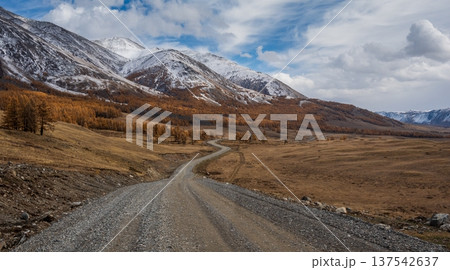 Scenic dirt road through autumn landscape with snowy mountains and trees Scenic dirt road through autumn landscape with snowy mountains and trees 137542637