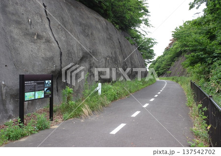 高台移設の仙石線旧線活用した遊歩道：奇跡の丘 137542702
